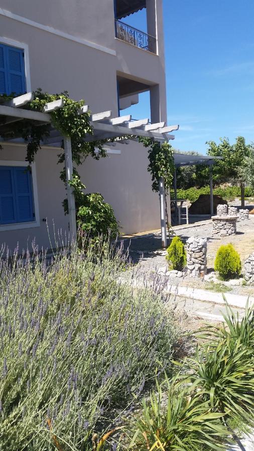 Petradi Studios Thanos Exterior foto